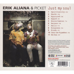 Erik Aliana & Picket - Just my soul