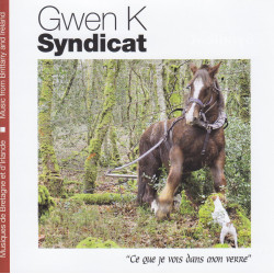 Gwen K Syndicat - Ce que je vois dans mon verre