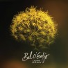 Bal O’Gadjo - Le poids de la terre