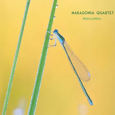 Naragonia Quartet - Nehalennia