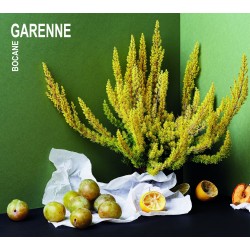 Garenne - Bocane