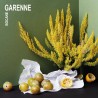Garenne - Bocane