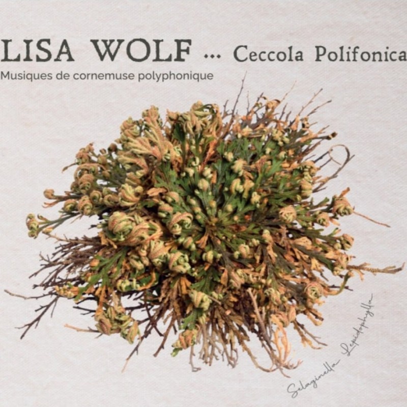 Lisa Wolf - Ceccola Polifonica